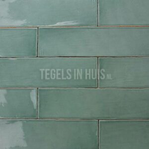 EQ Langwerpige witjes 7,5x30 cm handvorm wandtegel glans Jade groen