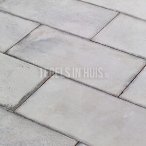 Wandtegel Esens 15x30 Perla licht grijs glans genuanceerd