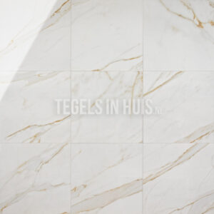 vloertegel gold marmer goud 60x60 gepolijst gerectificeerd tozcv1105