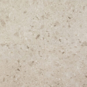 vloertegel wandtegel g stone terrazzo zand 60x60 r10 gerectificeerd full body
