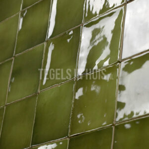 equipe wandtegel manacor 10x10 basil groen glans handvorm zellige look 26918