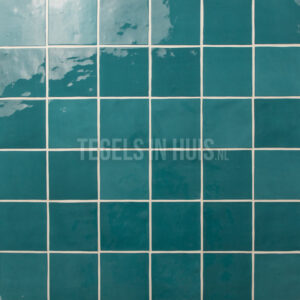 wandtegel zellige rio azul bondi blauw glans 10x10 tihdw035 1