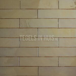 EQ Langwerpige witjes 7,5×30 cm handvorm wandtegel Luxe Goud metaal effect glans