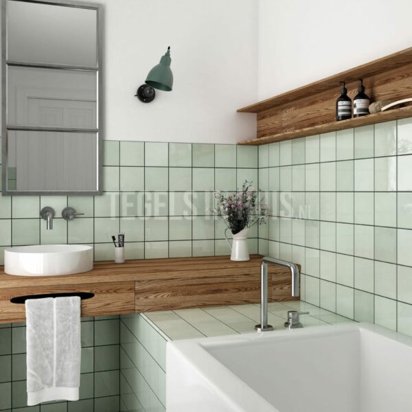 handvorm wandtegel 13x13 mint soft glans