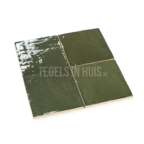 handvorm wandtegel river 13x13 botanic green glans
