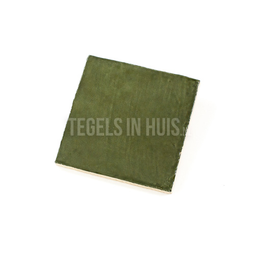 handvorm wandtegel river 13x13 botanic green glans