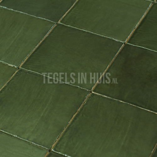 handvorm wandtegel river 13x13 botanic green glans