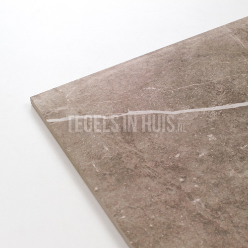 vloertegel unique 60x60 taupe