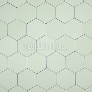 vloertegel hexagon 11,6x10,1 mat mint licht groen