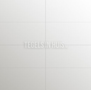 Wandtegel Glans Wit 30×60 gerectificeerd – project actie