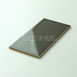 wandtegel 10x20 cm vt smoke slate grijs glans
