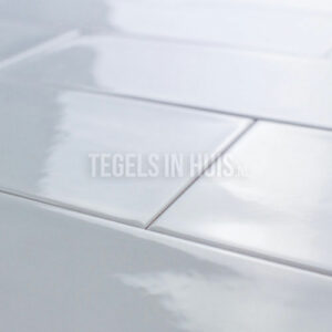 wandtegel 10x30 cm aria ice glans handvorm look