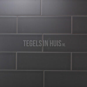 wandtegel 10thirty 10x30 cm nikkel mat