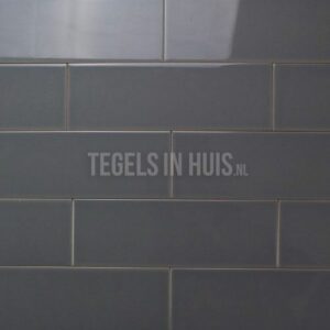 wandtegel 10thirty 10x30 cm nikkel glans