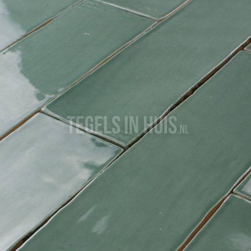 eq langwerpige witjes 7,5x30 cm handvorm wandtegel glans jade groen