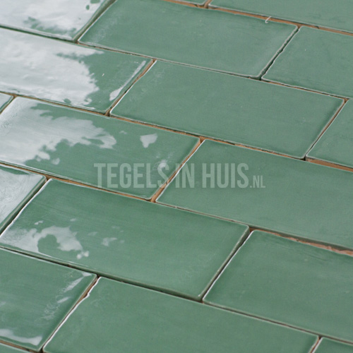 eq langwerpige witjes 7,5x15 cm handvorm wandtegel glans jade groen