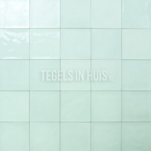 handvorm wandtegel 13x13 mint soft glans