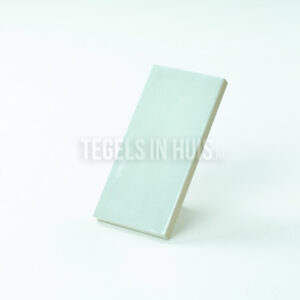 handvorm wandtegel 6,5x13 mint soft glans