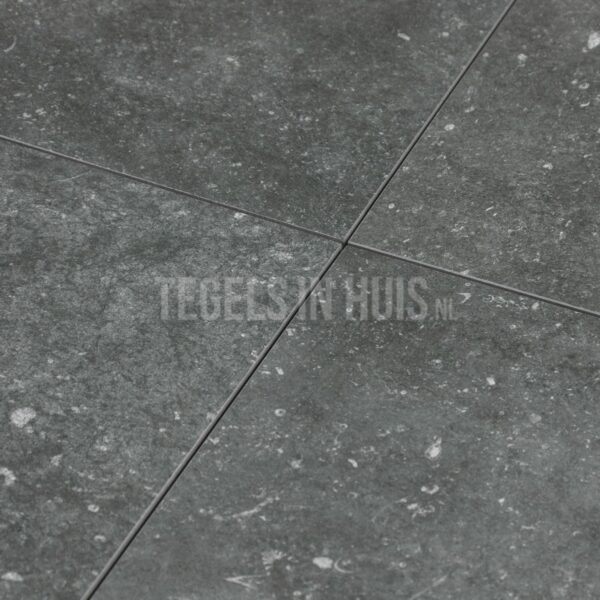 vloertegel belgisch hardsteen zilver grijs 60x60 gerectificeerd r10