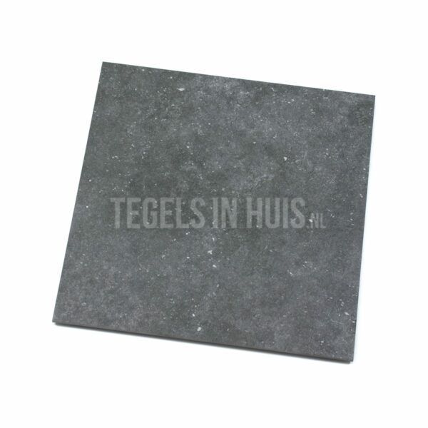 vloertegel belgisch hardsteen zilver grijs 60x60 gerectificeerd r10