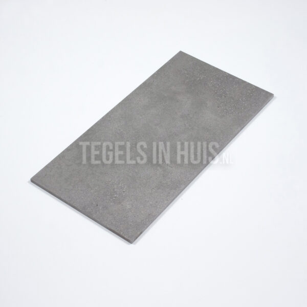 vloertegel / wandtegel betonico grijs 60x120 (59,8x119,8) r10 gerectificeerd
