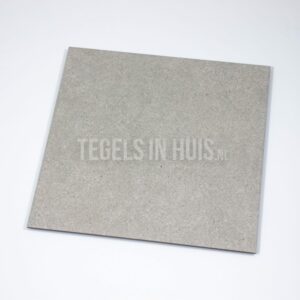 vloertegel delta parel grijs 60,8x60.8