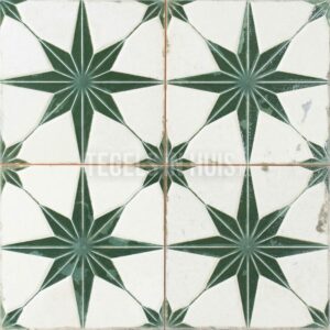 Vloertegel FS Star sage 45×45 4-in-1 3D R10