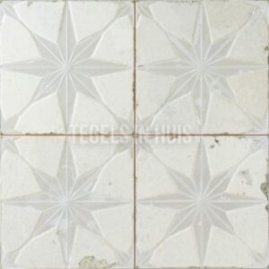 vloertegel fs star wit 45x45 4 in 1 3d r10