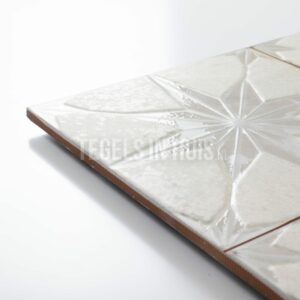 vloertegel fs star wit 45x45 4 in 1 3d r10