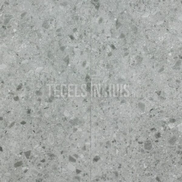 vloer en wandtegel g stone terrazzo licht grijs 60x120 r10 gerectificeerd full body