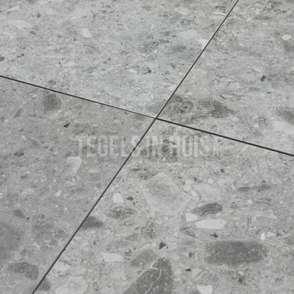 vloertegel g stone terrazzo licht grijs 60x60 r10 gerectificeerd full body