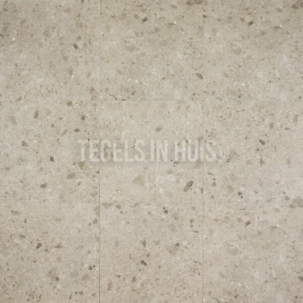 vloertegel g stone terrazzo zand 60x60 r10 gerectificeerd full body