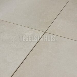 vloertegel gerhy 60x60 aluminio grijs gerectificeerd