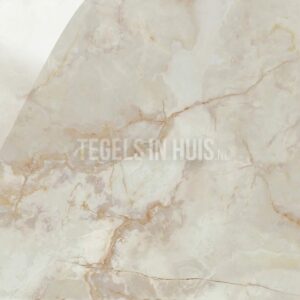 vloertegel olix marfil beige gepolijst 120x120 gerectificeerd (min afname 51.84 m2)