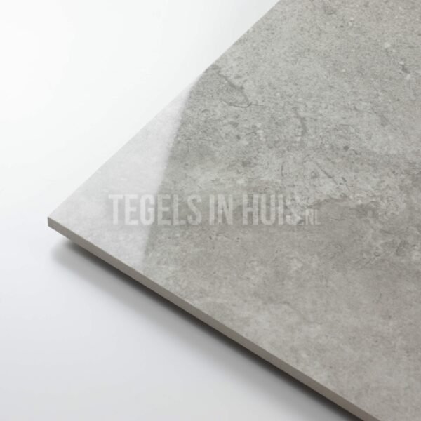 vloertegel pietra cap zilver grijs gepolijst 60x60 gerectificeerd