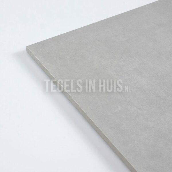 vloertegel plus licht grijs 60x60 r10 gerectificeerd
