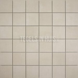 vloertegel plus ivoor beige 10x10 r10 gerectificeerd