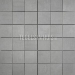 vloertegel plus licht grijs 10x10 r10 gerectificeerd