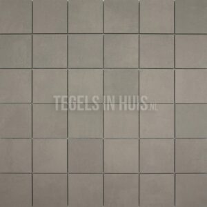 vloertegel plus taupe 10x10 r10 gerectificeerd