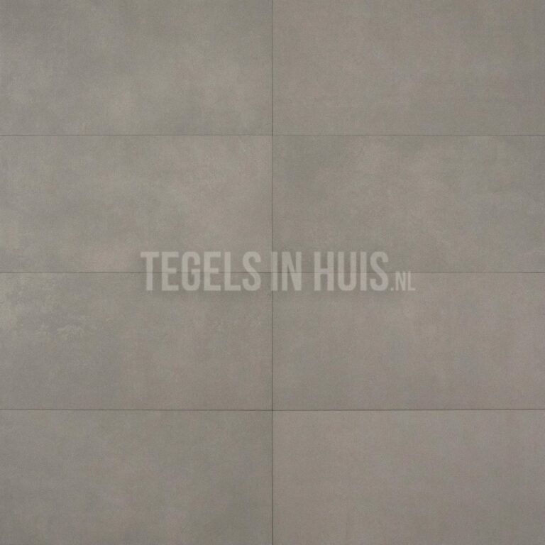 vloertegel plus taupe 60x120 r10 gerectificeerd