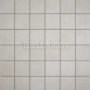 vloertegel plus wit 10x10 r10 gerectificeerd