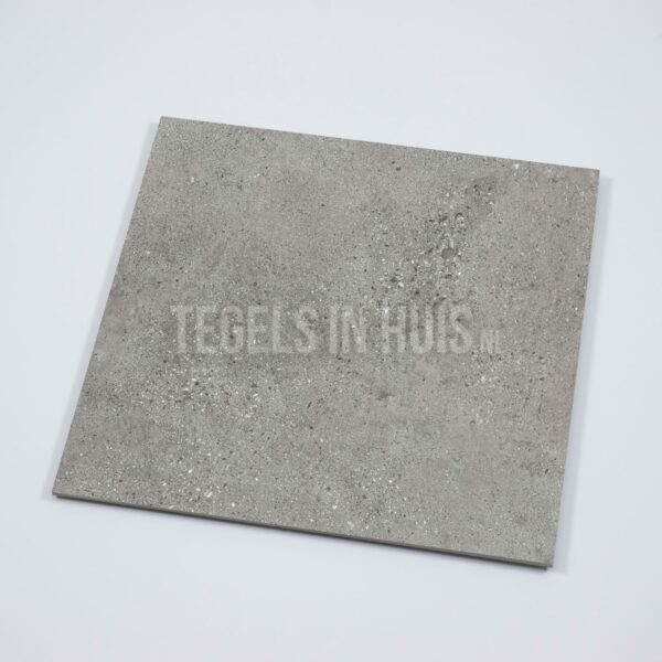 vloertegel prowalk grijs 80x80 gerectificeerd r10