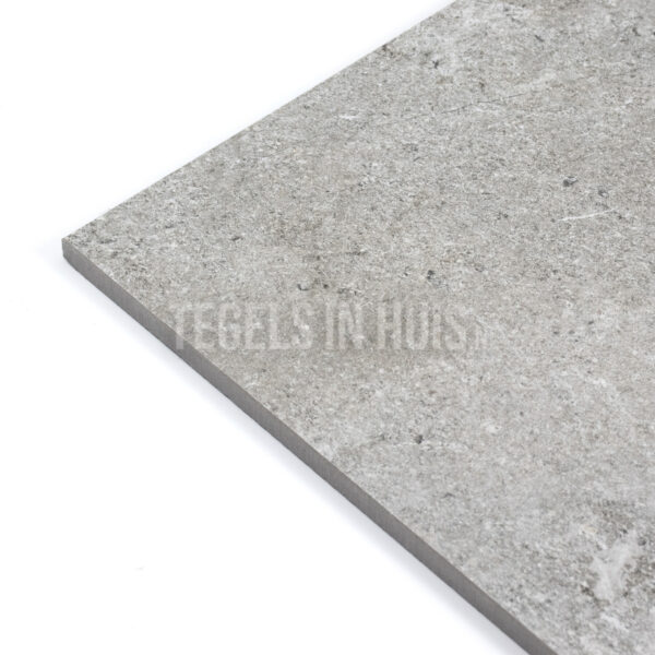 vloertegel stone valley cenere licht grijs 90x90 gerectificeerd r10