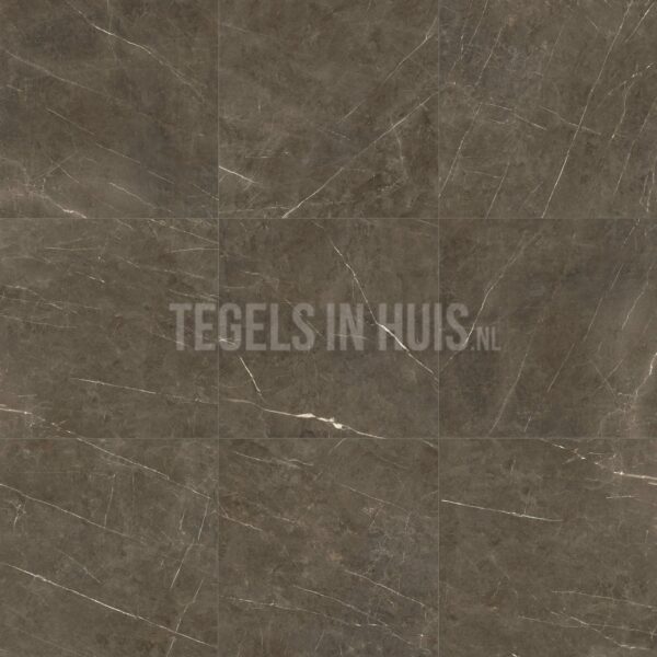 vloertegel ticino stone brons gepolijst 80x80 gerectificeerd