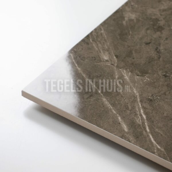 vloertegel ticino stone brons gepolijst 80x80 gerectificeerd