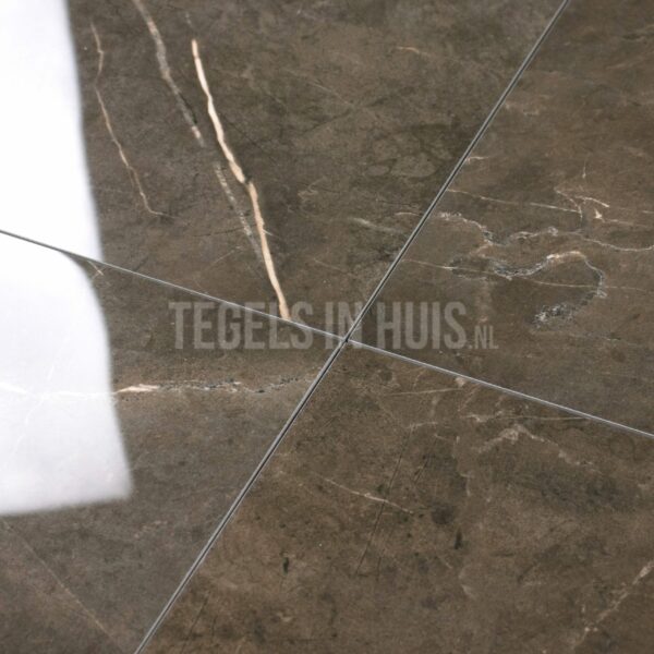 vloertegel ticino stone brons gepolijst 80x80 gerectificeerd