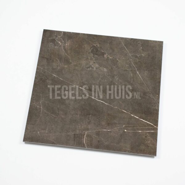 vloertegel ticino stone brons gepolijst 80x80 gerectificeerd