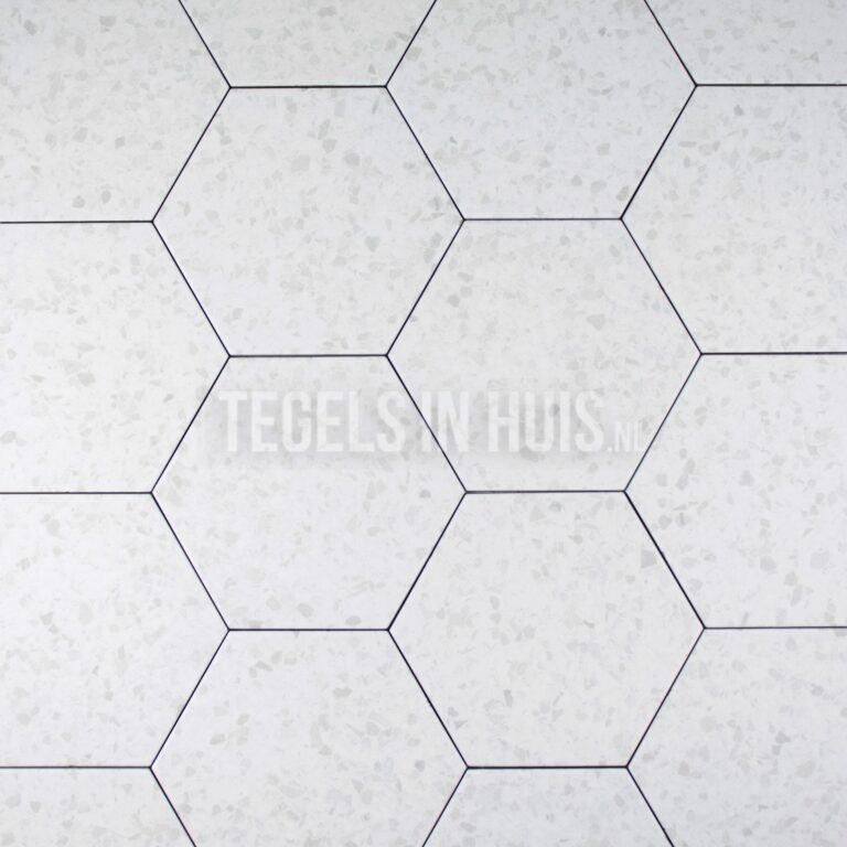 vloertegel / wandtegel inspire hexagon terrazzo wit 20x24