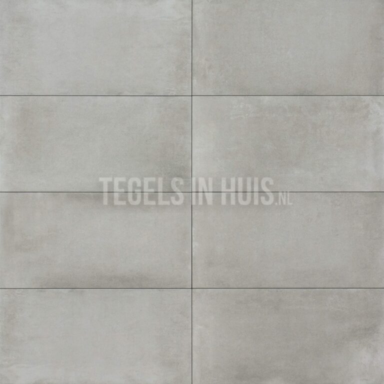 vloertegel / wandtegel lecco gris grijs 30x60 met slip stop r11 n.r.