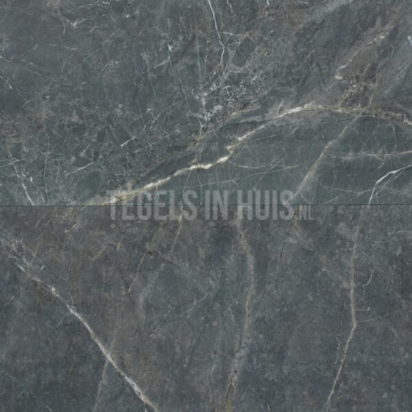 vloertegel / wandtegel marble s donker grijs gepolijst 60x120 gerectificeerd